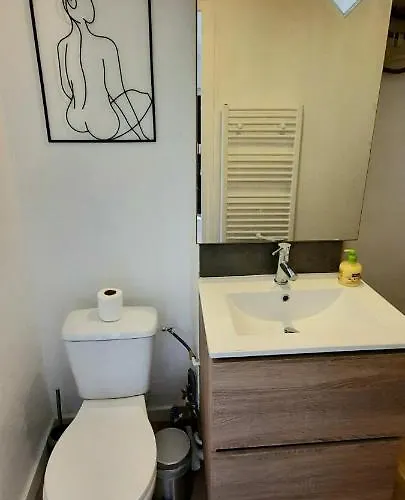 Lejlighed F2 Avec Sauna, Vue D'exception Place De La Mairie